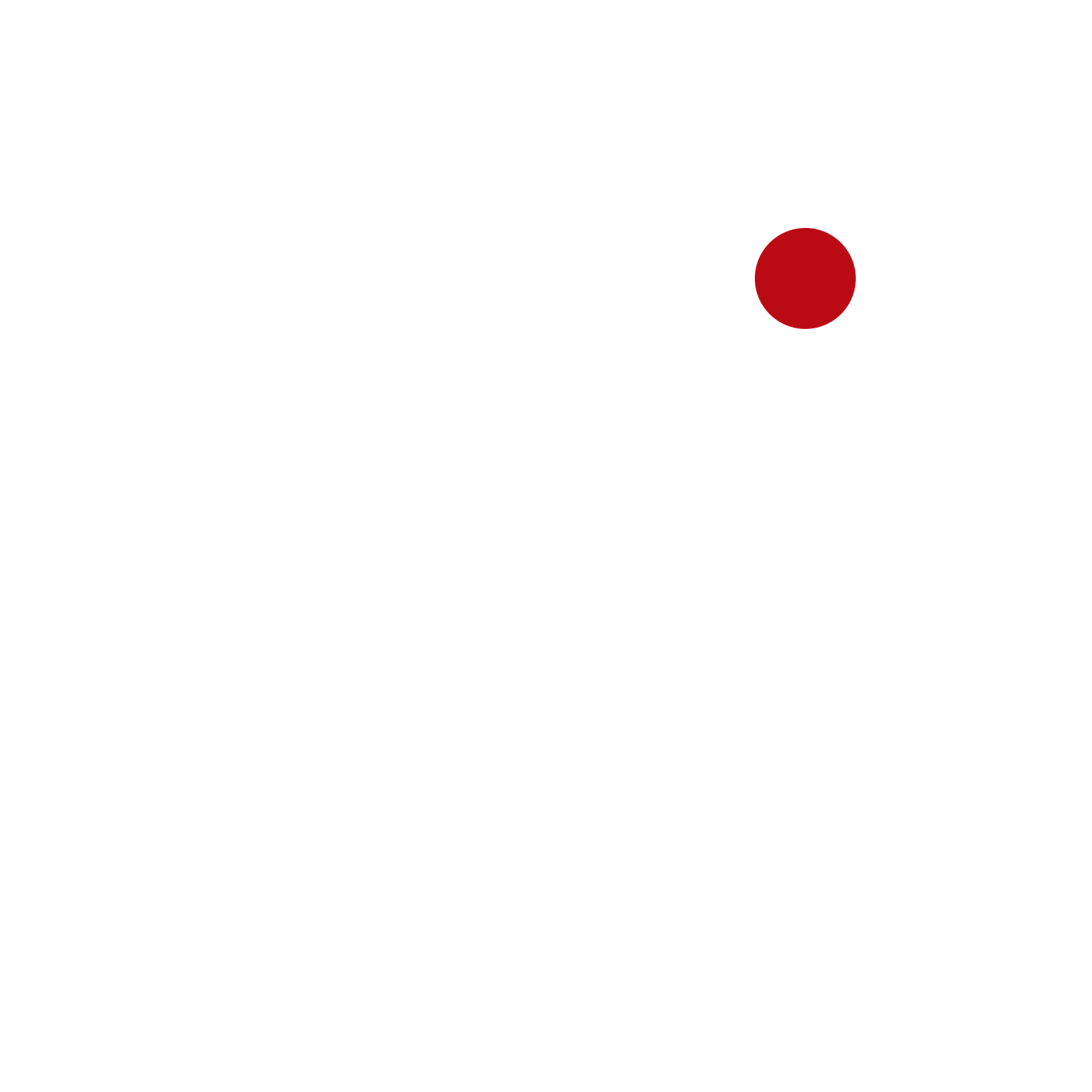 MZI — Mohammed Ismail