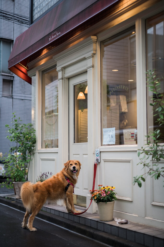 Japan: Urban Contrasts
