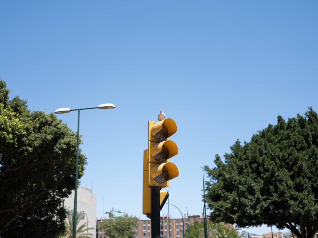 Spain: Moorish Heritage