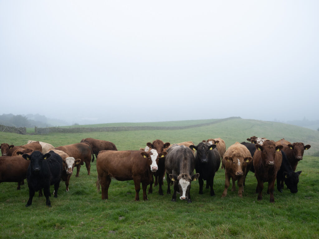 UK: Cityscapes to Landscapes