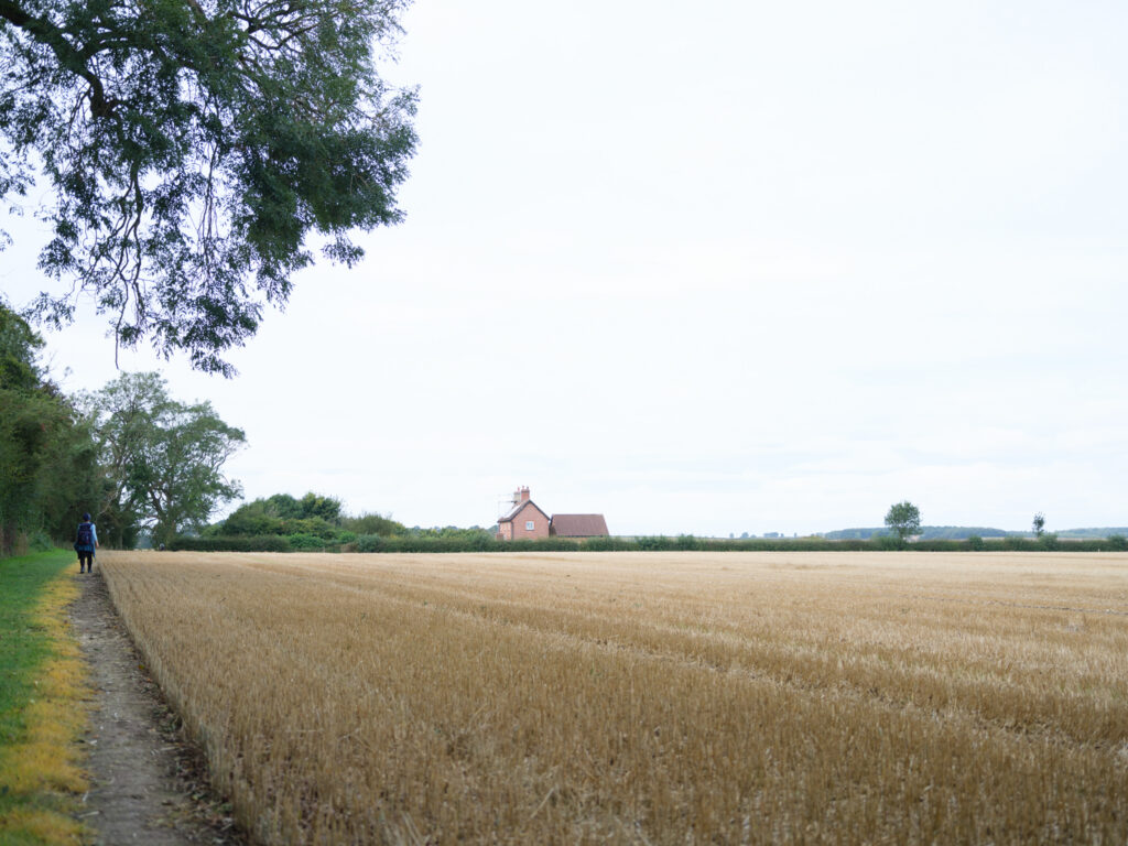 UK: Cityscapes to Landscapes