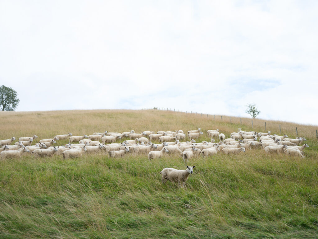 UK: Cityscapes to Landscapes