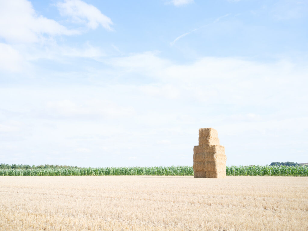 UK: Cityscapes to Landscapes