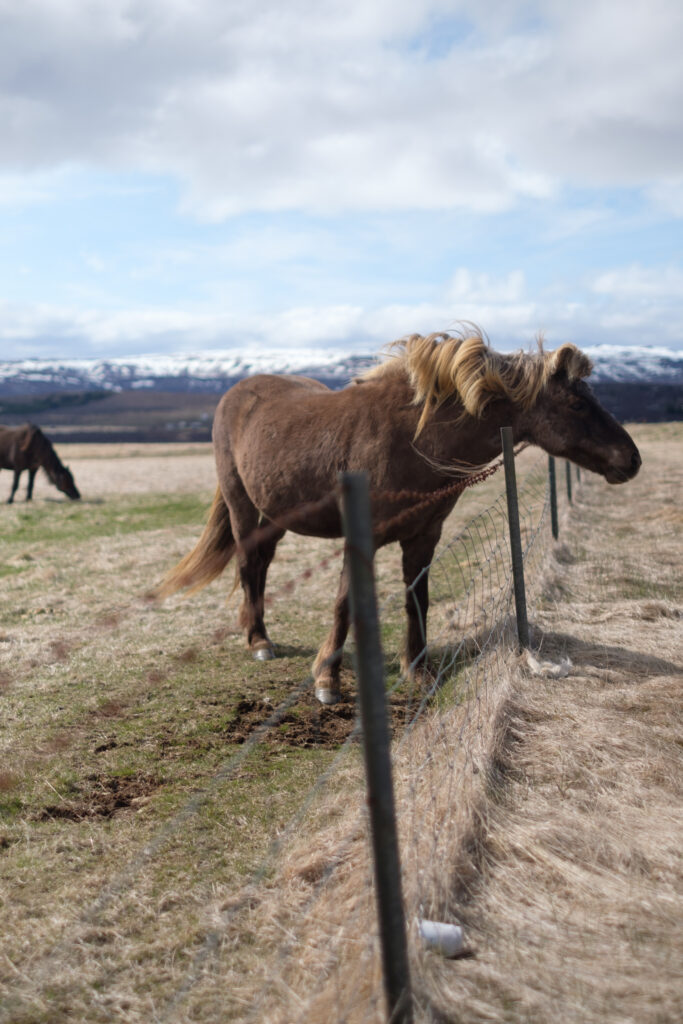 Iceland: The land of Volcanoes