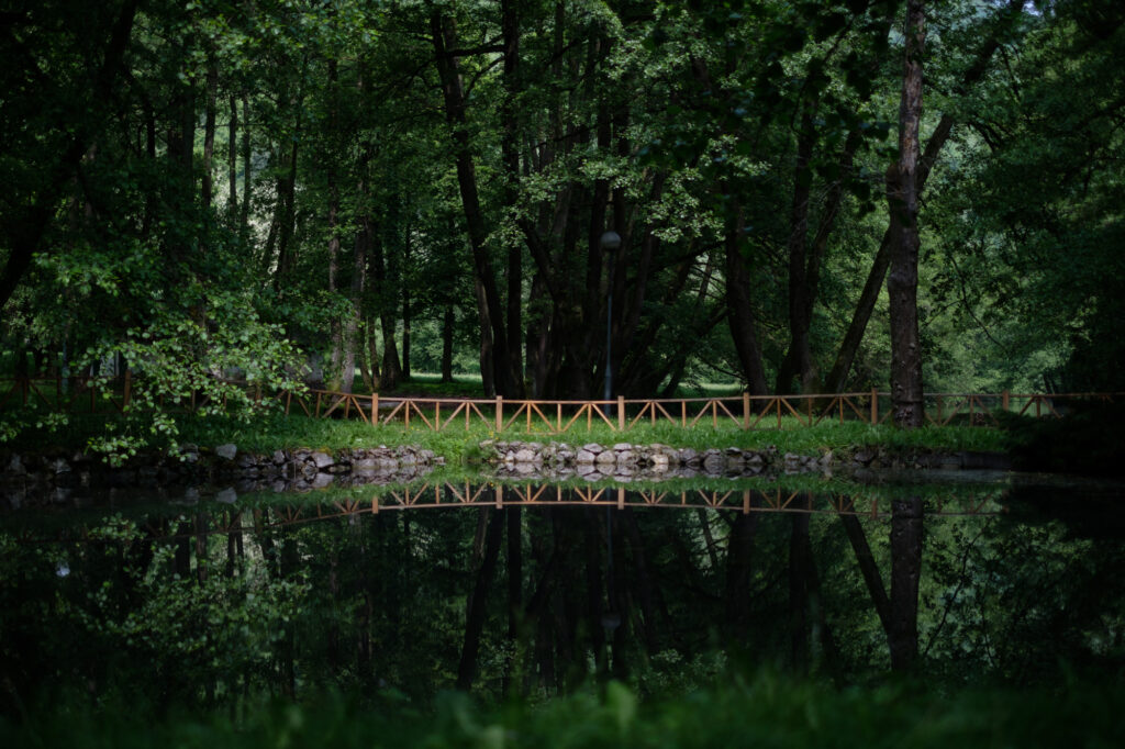 Bosnia: Historical Axis