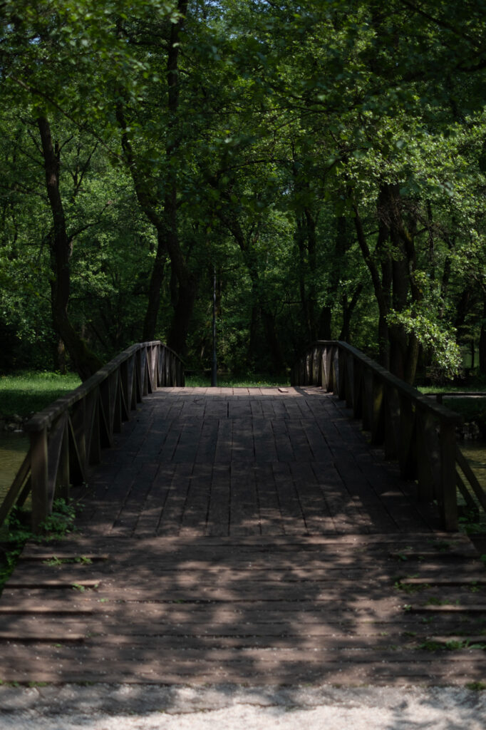 Bosnia: Historical Axis