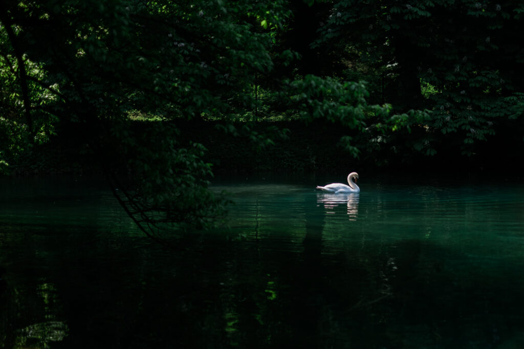 Bosnia: Historical Axis