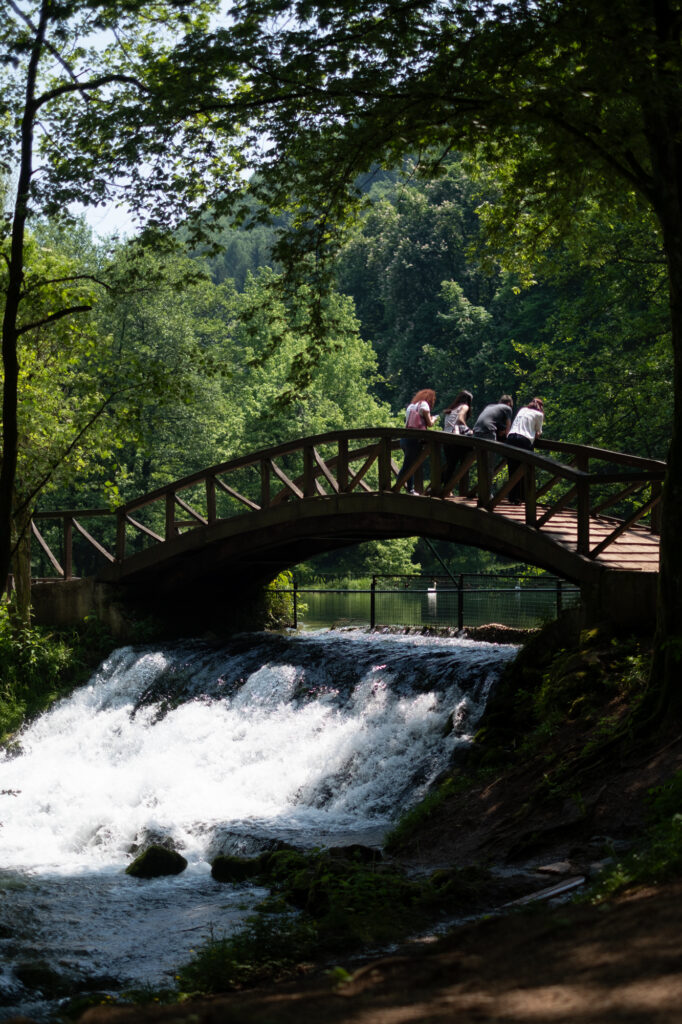 Bosnia: Historical Axis