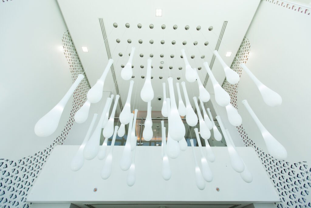 Qatar Biobank Precision Medicine: Visual Documentation