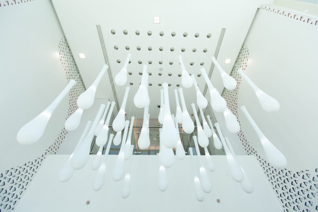 Qatar Biobank Precision Medicine: Visual Documentation