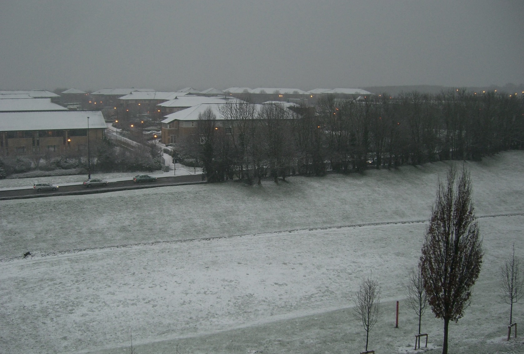 Photo of a snowy field in Bristol, dusk, street lights on.